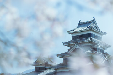 春夢の松本城