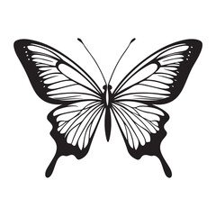 butterfly silhouette set. butterfly vector illustration. butterfly isolated vector on white background.