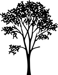 Silhouette Tree Image of Version 10 - 9 Nature's Beauty