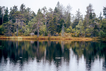 Lake on top of Mount Vottovaara in Karelia Russia, summer landscape cloudy day