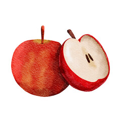 Apple Fruit Watercolor