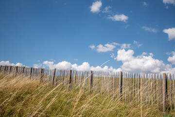 Fototapeta premium Ein Zaun in der Landschaft 