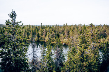 Lake on top of Mount Vottovaara in Karelia Russia, summer landscape cloudy day