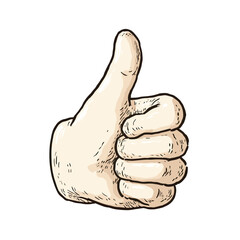 A classic hand-drawn illustration of a thumbs-up gesture, a universal symbol for approval, agreement, success, and positive feedback in social media or business.
