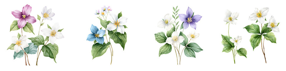 Watercolor Flower Bouquets: Clematis Floral Arrangement