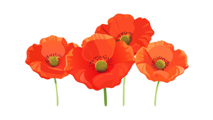 Obraz premium Bright Poppy Flower SVG - Backlit Vector Design
