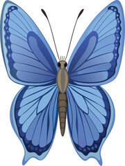 Dusty Blue Butterfly High Detail.