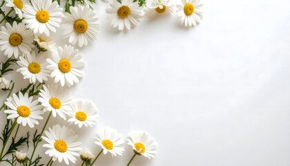 Delicate floral frame