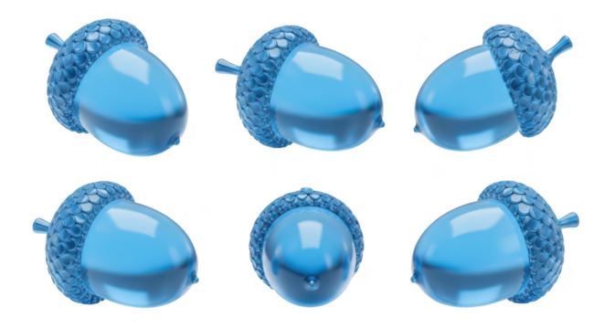 Six blue transparent acorns displayed in different angles against a white background suitable for educational or illustrative content