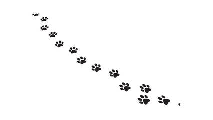 Animal paw prints trail path movement direction