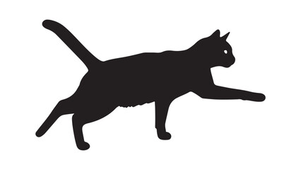 Black cat silhouette in motion, playful feline animal