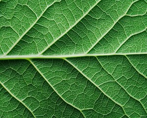 Obraz premium A magnified leaf structure revealing tiny organisms living within, highlighting unseen biodiversity