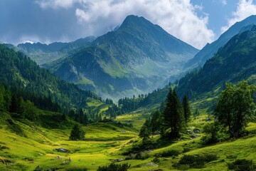 Obraz premium Breathtaking mountain landscapes adorned with lush meadows, capturing tranquil nature's essence for outdoor lovers and travel enthusiasts seeking scenic inspiration