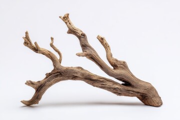 Obraz premium Dry aged tree branch on white backdrop for rustic home decor and natural design inspiration