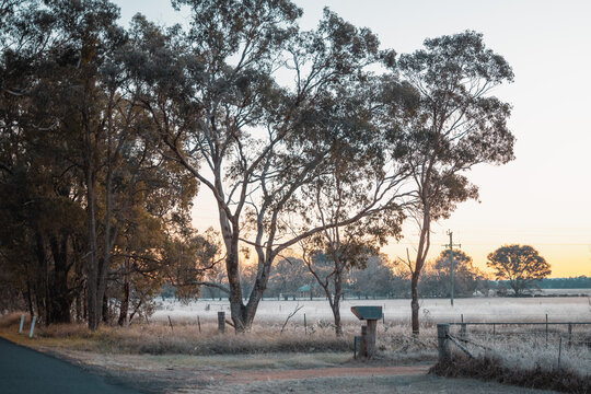 Roadside mail box at front gate of rural property on cold winter morning