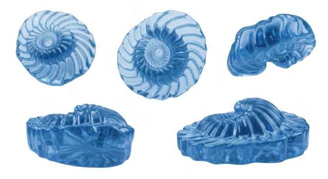 Translucent blue fossil-like spiral objects arranged on a white background for scientific educational or decorative purposes