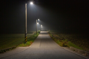 A night road lit by streetlights © 현수 김