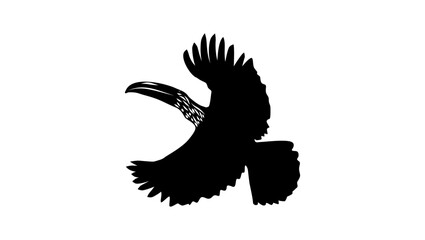 Keel-billed toucan, black isolated silhouette