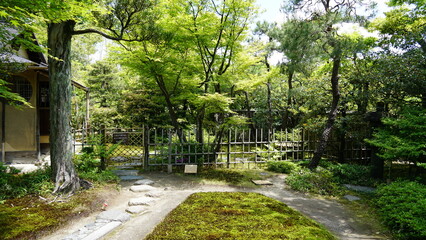 Japanese Garden Yūraku-en, Inuyama, Aichi, Japan