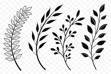 Obraz premium Elegant Botanical Vector Illustrations of Sprigs and Leaves for Creative Design Projects and Nature Inspired Decorations on Isolated Background
