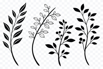 Botanical Illustration Collection of Black and White Branches with Leaves and Berries for Graphic Design and Decorative Elements © design png