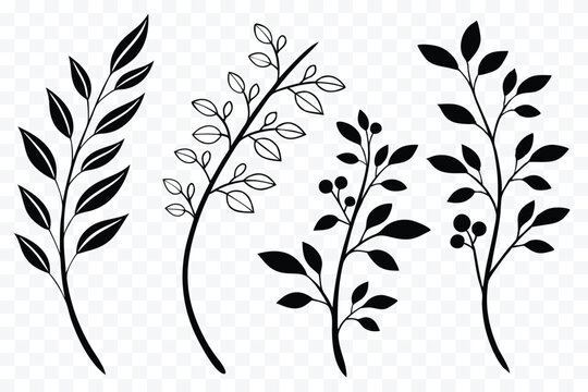 Botanical Illustration Collection of Black and White Branches with Leaves and Berries for Graphic Design and Decorative Elements