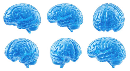 3D renderings of a blue human brain model showing various angles and details isolated on a white background suitable for medical or educational purposes
