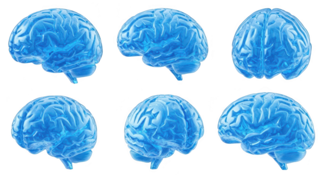 3D renderings of a blue human brain model showing various angles and details isolated on a white background suitable for medical or educational purposes
