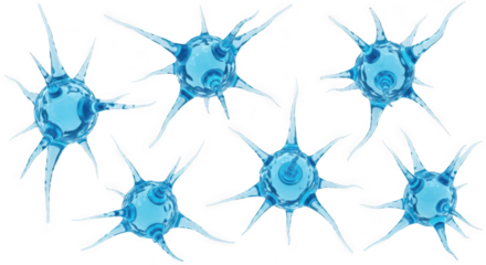Transparent blue neuron cells floating isolated on white background; for scientific research & medical illustrations