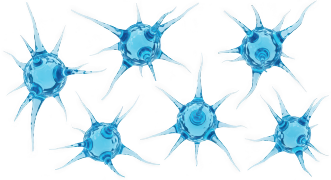 Transparent blue neuron cells floating isolated on white background; for scientific research & medical illustrations - Powered by Adobe
