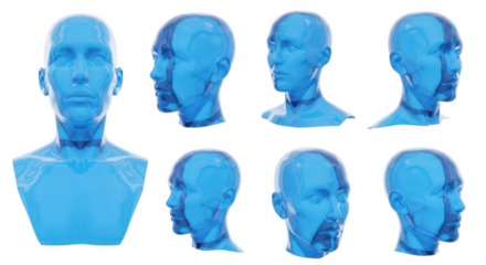 Transparent human head models displaying various perspectives demonstrating anatomy on white background potentially for medical visualizations or education