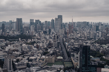 渋谷スカイから見た東京の街並み