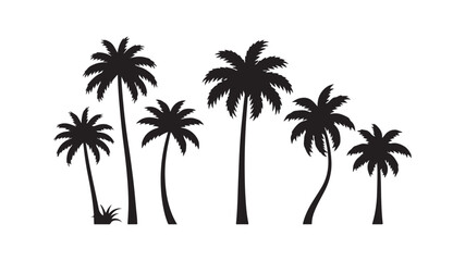 Palm trees silhouette tropical scene nature outline