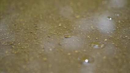 Closeup macro view of water droplets on a textured surface, creating an abstract pattern