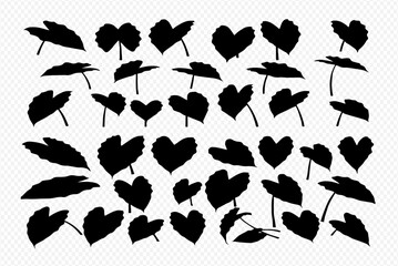 Collection of various leaf silhouettes, showcasing a range of shapes and sizes, arranged on a transparent background.