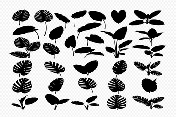 Collection of various tropical leaf silhouettes, including Monstera and other foliage, arranged in a graphic design pattern.