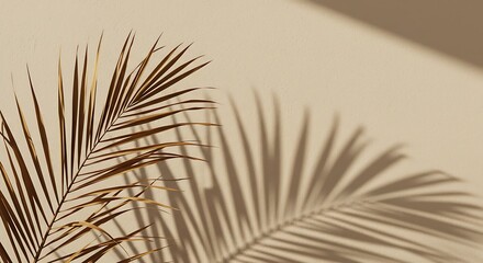 Obraz premium Minimal Palm Leaf Shadow on Beige Wall with Tropical Light