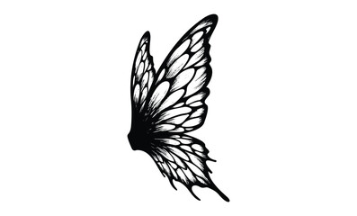 Monochrome artistic butterfly wing illustration with detailed patterns. Vector retro hand drawn illustration