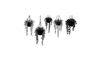 Silhouette of hanging plants with cascading leaves on white background. Vector retro hand drawn illustration