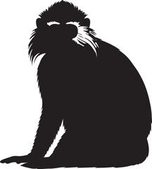  Purple faced Langur in silhouette image white backgrpound.
