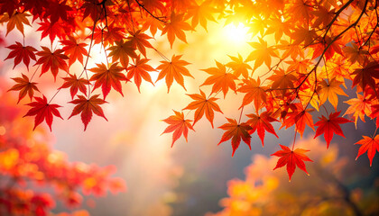 Fototapeta premium 紅葉と秋の陽光