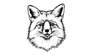 Fototapeta premium Intricate pen drawing of a smiling fox head with detailed fur and ears. Vector retro hand drawn illustration