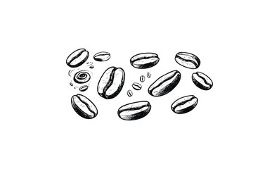 Detailed black and white coffee bean illustration with various sizes and forms. Vector retro hand drawn illustration