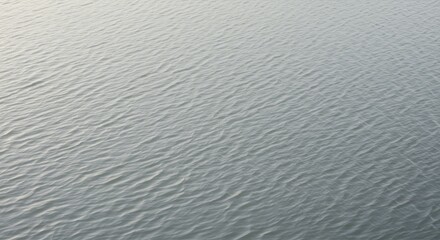 Obraz premium Calm Water Surface Texture