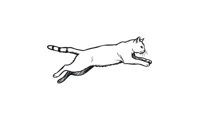 Sketch of a leaping cat with detailed line art and shaded accents. Vector retro hand drawn illustration