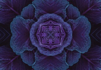 Obraz premium Artistic abstract composition of a cross-section of red cabbage