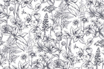 Vector seamless pattern with wildflowers, herbs. Endless floral background in vintage sketch style. Meadow plants. © natality