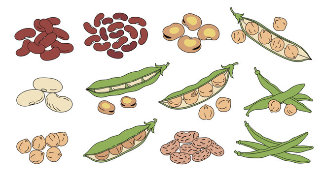 A colorful assortment of delicious and nutritious legumes ready for culinary creations