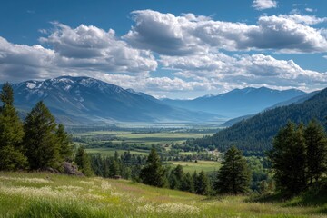 Fototapeta premium Valley view mountains forest surround green valley under cloudy sky