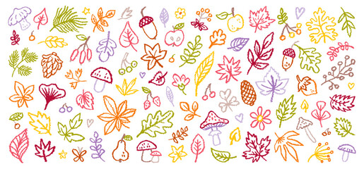 Autumn leaf vector bg. Fall leaves icon. Maple leaf, forest oak foliage, acorn background. Autumn forest leaves crayon set. Doodle chalk brush illustration. Kid hand drawn plant. Fall nature pattern